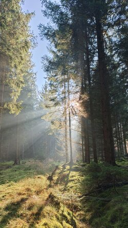 007 Oppo Find X9 Pro.jpg