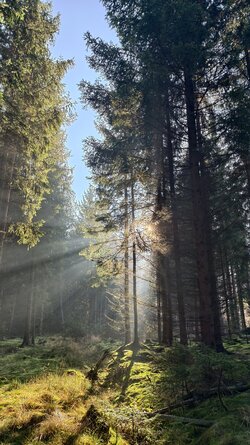 007 Vivo X200 Pro.jpg