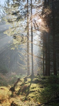 008 Oppo Find X9 Pro.jpg