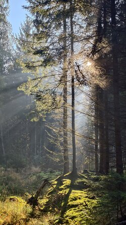 008 Vivo X200 Pro.jpg