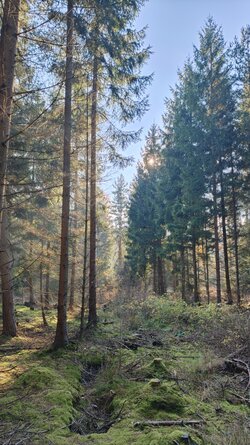 009 Oppo Find X9 Pro.jpg