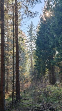 010 Oppo Find X9 Pro.jpg