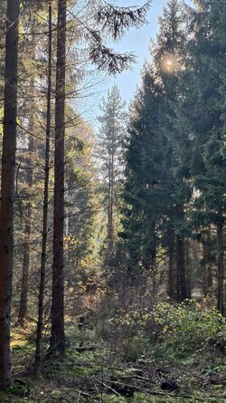 010 Vivo X200 Pro.jpg