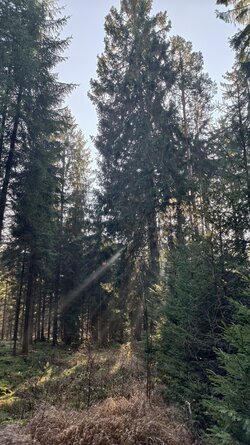 011 Vivo X200 Pro.jpg