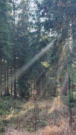 012 Oppo Find X9 Pro.jpg