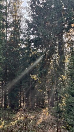 012 Vivo X200 Pro.jpg