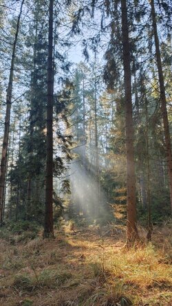 013 Oppo Find X9 Pro.jpg