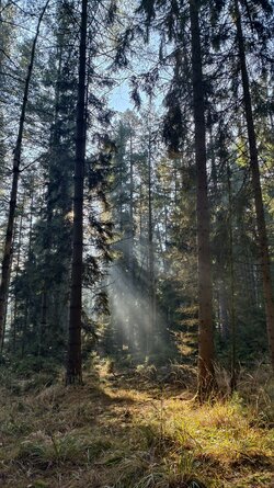 013 Vivo X200 Pro.jpg