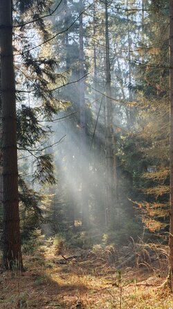 014 Oppo Find X9 Pro.jpg