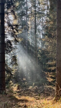 014 Vivo X200 Pro.jpg