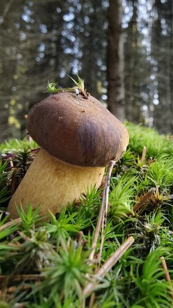 019 Oppo Find X9 Pro.jpg