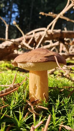 028 Oppo Find X9 Pro.jpg