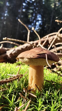 028 Vivo X200 Pro.jpg