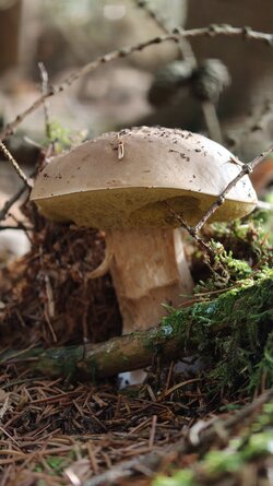 031 Oppo Find X9 Pro.jpg