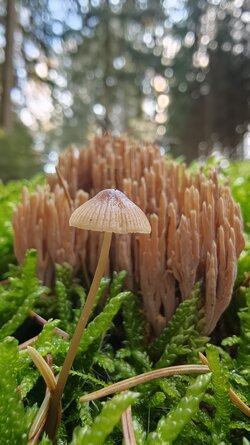 034 Oppo Find X9 Pro.jpg