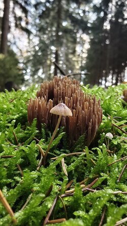 034 Vivo X200 Pro.jpg