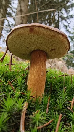 037 Oppo Find X9 Pro.jpg