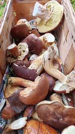 038 Oppo Find X9 Pro.jpg