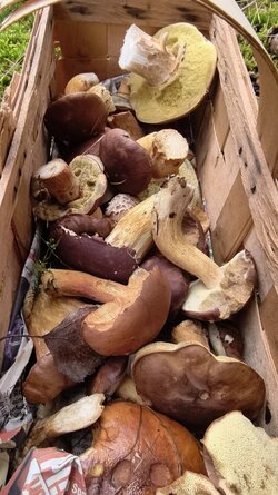 038 Vivo X200 Pro.jpg