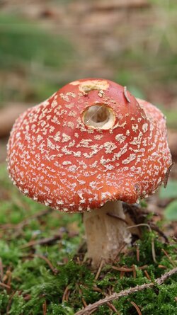 039 Oppo Find X9 Pro.jpg