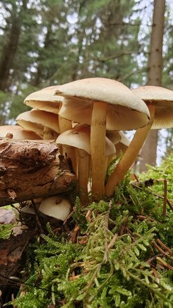 042 Oppo Find X9 Pro.jpg