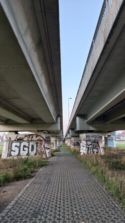 043 Vivo X200 Pro.jpg