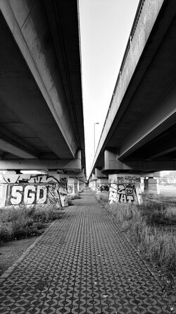 044 Oppo Find X9 Pro.jpg