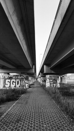 044 Vivo X200 Pro.jpg