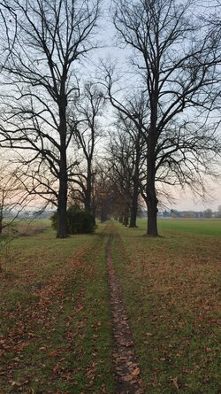 049 Oppo Find X9 Pro.jpg