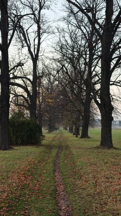 050 Oppo Find X9 Pro.jpg