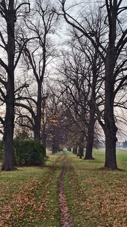 050 Vivo X200 Pro.jpg