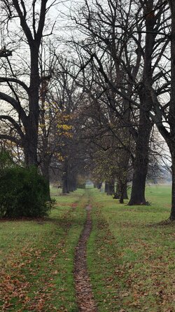 051 Oppo Find X9 Pro.jpg