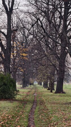 051 Vivo X200 Pro.jpg