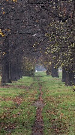 052 Oppo Find X9 Pro.jpg