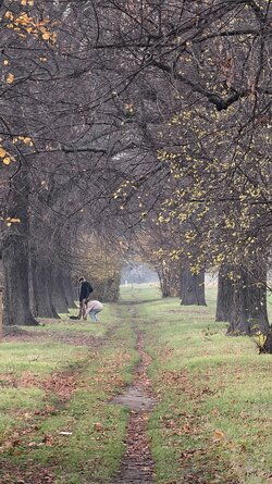 052 Vivo X200 Pro.jpg