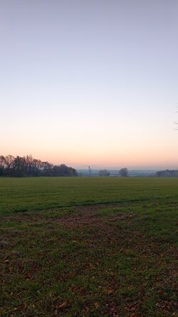 054 Vivo X200 Pro.jpg