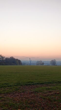 055 Vivo X200 Pro.jpg