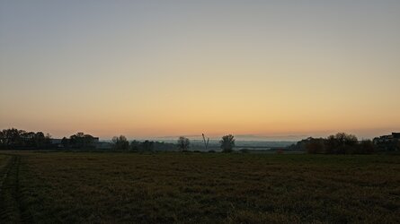 059 Oppo Find X9 Pro.jpg