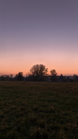 066 Vivo X200 Pro.jpg