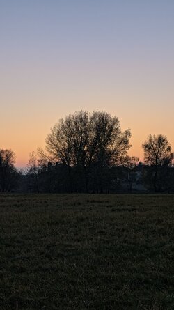 067 Oppo Find X9 Pro.jpg