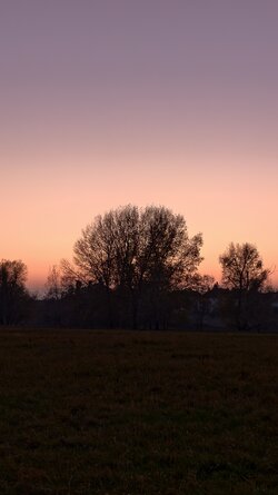 067 Vivo X200 Pro.jpg