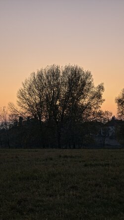 068 Oppo Find X9 Pro.jpg