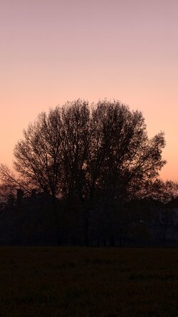 068 Vivo X200 Pro.jpg