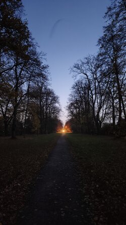 070 Oppo Find X9 Pro.jpg