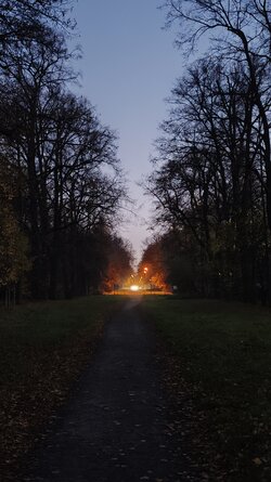 071 Oppo Find X9 Pro.jpg