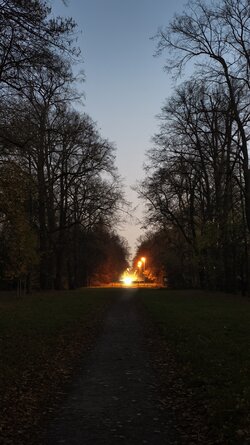 071 Vivo X200 Pro.jpg