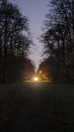 072 Oppo Find X9 Pro.jpg