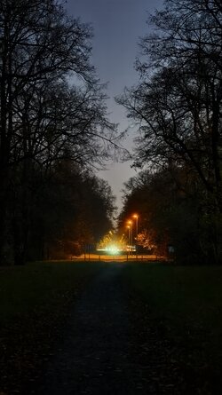 072 Vivo X200 Pro.jpg