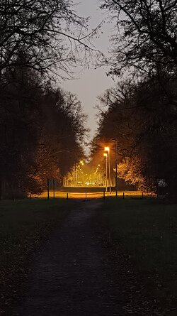 073 Oppo Find X9 Pro.jpg