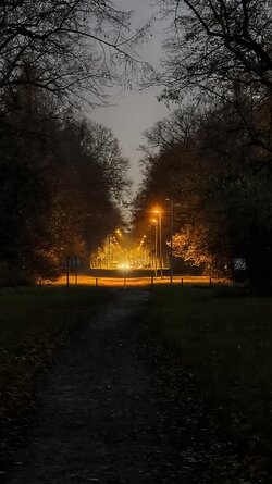 073 Vivo X200 Pro.jpg